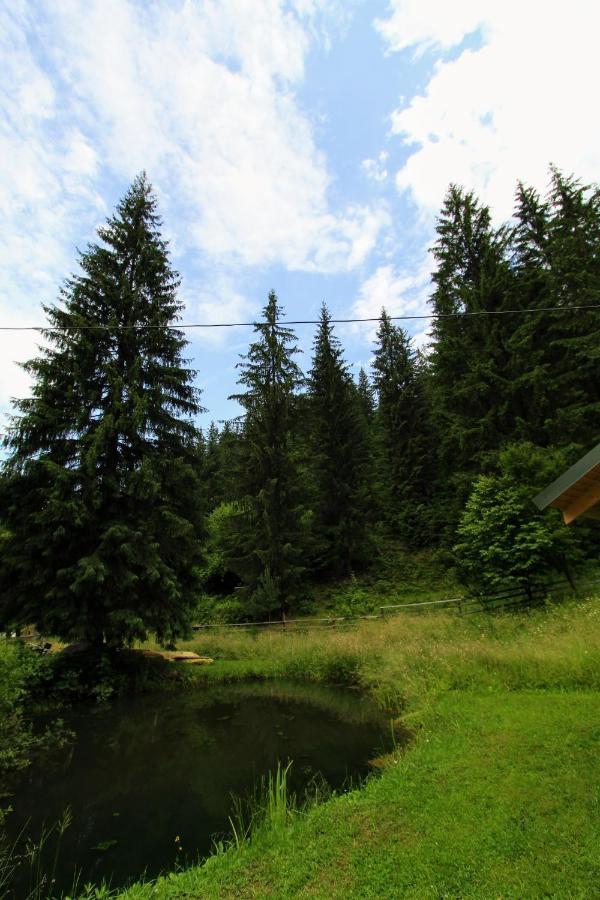 Hrystyna Yablunytsya Exterior foto